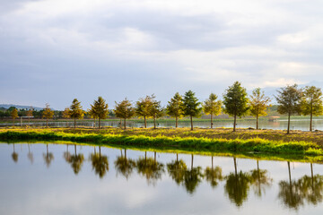 Scenic Lake with Tree Reflections on a Calm Sunny Day in Chishang, Taiwan
