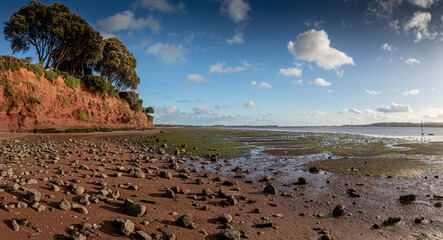 Afternoon on the Exe Estuary