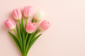 Fototapeta premium Pink and white tulips bouquet on pastel background