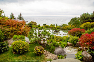 Naklejka premium Japanese garden with pond and trees against the background of the sea and blue sky on a bright sunny day. Flora, nature, plants, landscape of parks.