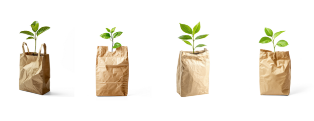 Collection of recycled paper bag with a plant inside it, symbolizing eco-consciousness for World Environment Day. full length isolate on transparent background
