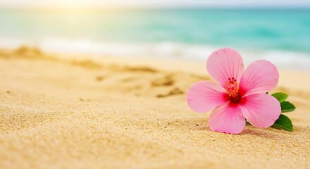 Close-up of a pink hibiscus flower on a sandy beach, with turquoise ocean background