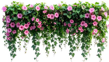 A cascade of pink trumpet-shaped flowers spills from a lush curtain of green vines