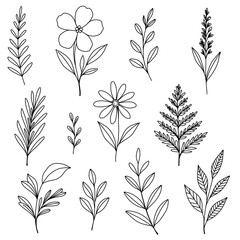 Hand Drawn Floral and Botanical Line Art Set. Minimalist Vector Elements for Design, Invitations, and Decor