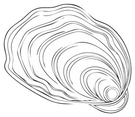 Line Drawing of an Oyster Shell with Organic Textures and Smooth Curves