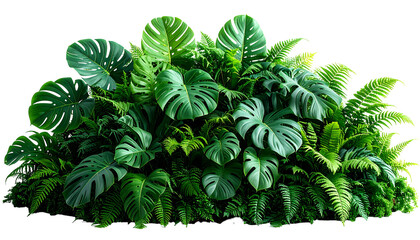 Lush, dense assortment of tropical foliage, featuring large leaves & various textures