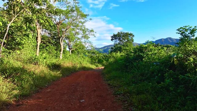 A dirt road in the mountains. A copper footpath winding through a mountain meadow. A road with many curves among the forest. Landscape from above. Drone shot. Summer in the mountains.