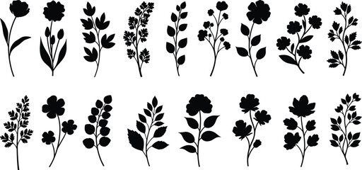 Botanical Silhouette Collection of Diverse Flowers and Plants for Educational Illustration, Nature-Inspired Design, and Morphological Pattern Creation
