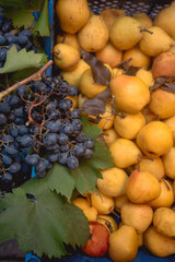 ripe fruits Harvest black grapes and yellow pears in a box top view