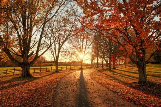 Autumn sunset at Knox Farm State Park, East Aurora, New York