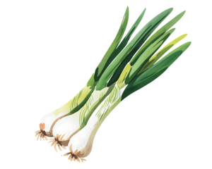 bunch of fresh green onions