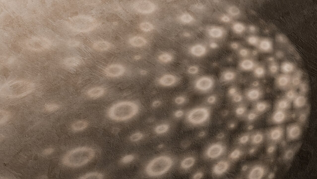 Soft light shadows dance on a textured wall surface