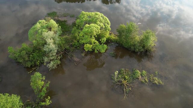 Floresti Lake/Delta Floresti, wet lands environment near urban area.