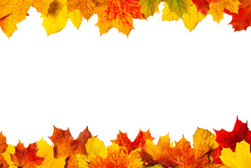 Autumn Frame with Maple Leaves PNG