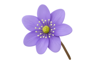 Purple flower with yellow center, delicate violet petals, single brown stem on transparent background