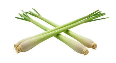 Vibrant lemongrass stalks symbolizing freshness and vitality, great for herbal packaging, spa wellness graphics, and natural food visuals