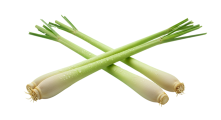 Vibrant lemongrass stalks symbolizing freshness and vitality, great for herbal packaging, spa wellness graphics, and natural food visuals