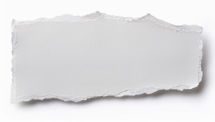 a piece of white textured paper with torn edges isolated on a white background background removed