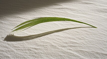 Dewdrops glisten on a green leaf casting a long shadow on textured white fabric