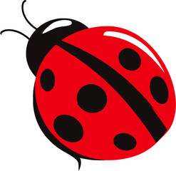 Ladybug vector illustration