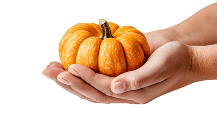 transparent background, isolated image. Hands holding a vibrant orange pumpkin with textured skin, showcasing seasonal harvest and autumnal themes, perfect for festive decorations and culinary uses