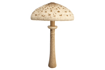 Single tall mushroom with speckled beige cap and slender textured stem