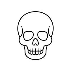 Obraz premium Simple skull line drawing on transparent background