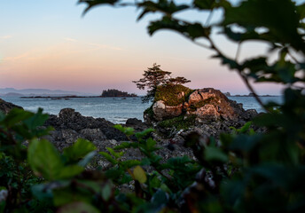 Tofino Sunset on the Pacific Coast Trail