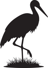 Obraz premium Elegant silhouette of a stork bird standing gracefully in green grass natural scene