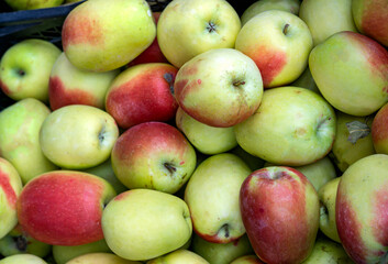 Multicolored apples in a box at the market.