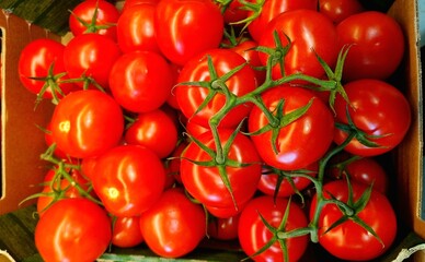 tomatoes on the vine. Red cherry tomatoes with green branches in a box, juicy tomatoes in a kraft box, concept of healthy nutrition and diet, consumption of vegetables and benefits of vitamins.