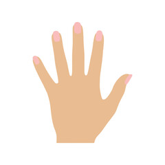 Illustration of a woman's hand with pink nails showing five fingers Vector, illustration