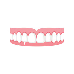 Dental illustration of a healthy set of white teeth in pink gums, isolated on white background Vector, illustration