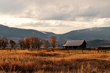 Barn on a grassy field enclosed by a wooden fence, and autumn-colored trees in Grand Teton National Park, Wyoming, during sunrise. The structure is set against a backdrop of the Rocky Mountains  