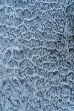 Abstract textured surface in icy gray tones