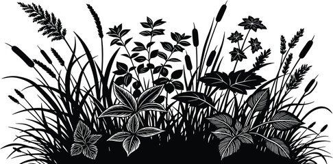 Silhouette of diverse wetland plants including cattails grasses and flowering foliage against a white background