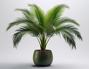 artificial potted palm tree isolated on white background realistic 3d rendering background removed