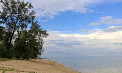 Beach with a tree in the background and a person walking on the sand