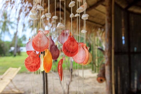 String of shells hanging from a tree