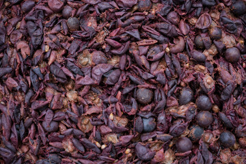 Grape Marc or Pomace Background. Solid Remains. Skins, Pulp, and Seeds. Wine Making Process.	Design background.