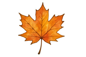 Fototapeta premium Maple leaf watercolor painting showing vibrant orange and yellow fall colors, isolated on transparent background