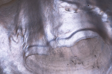 Nacre coating the inner layer of a shell