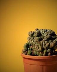 Desain tanpa judul - 1