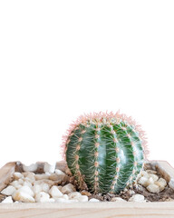 Desain tanpa judul - 1