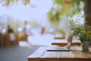Laptop and potted plant on wooden outdoor table in natural sunlight, eco coworking concept