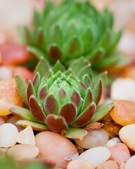 Desain tanpa judul - 1