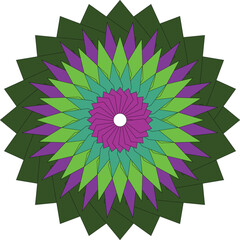 Detailed mandala vector design with floral and geometric circular patterns, elegant ornamental symmetry perfect for yoga, meditation, decorative art, and spiritual background illustration