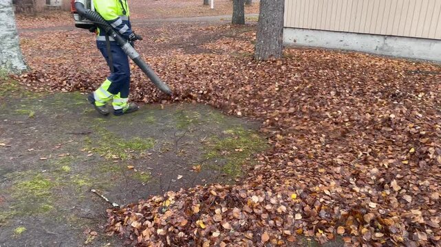 Worker uses powerful leaf blower clearing dry leaves from the ground autumn colors warm light seasonal outdoor work cleaning nature park and maintaining order in public spaces professional landscape m