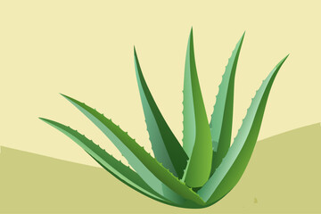 Minimalist Aloe Vera Plant Illustration for Health and Beauty