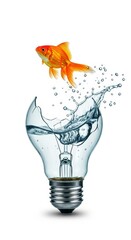 A goldfish jumping out of a shattered clear light bulb filled with water, isolated on white background, concept of creativity and freedom
